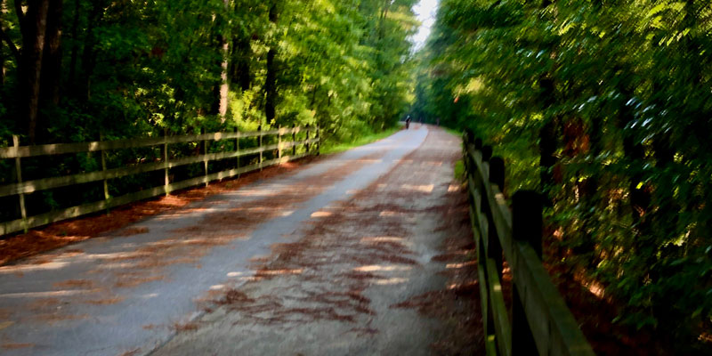 American Tobacco Trail portion of the trail late summer