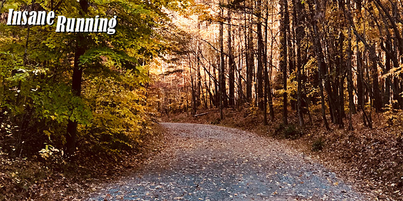 Trail during fall Umstead