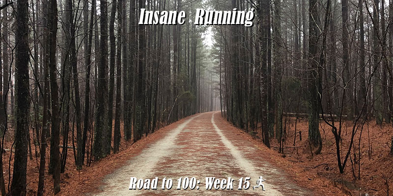 Road to 100 Featured Image Week 15