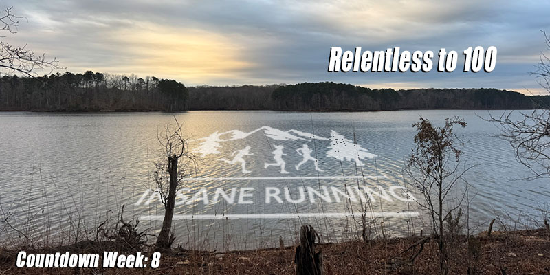 Relentless to 100 week 8 blog post image