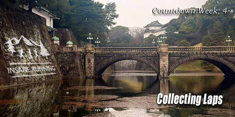 Collecting Laps week 4 training for Umstead 100 blog post