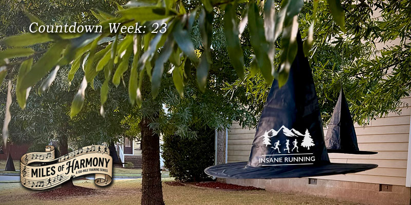 Harmony of miles week 23 training for Umstead 100 blog post