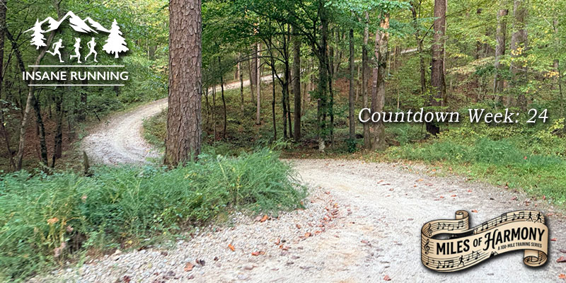 Umstead 100 mile ultramarathon training blog post week 24