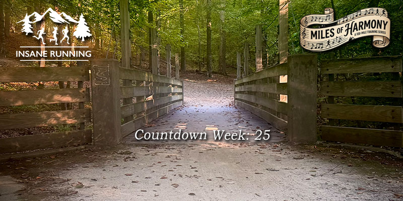 Umstead 100 mile ultramarathon training blog post week 25